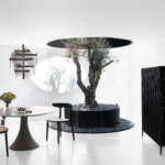 72dpi_jaderalmeida_av_europa-4621